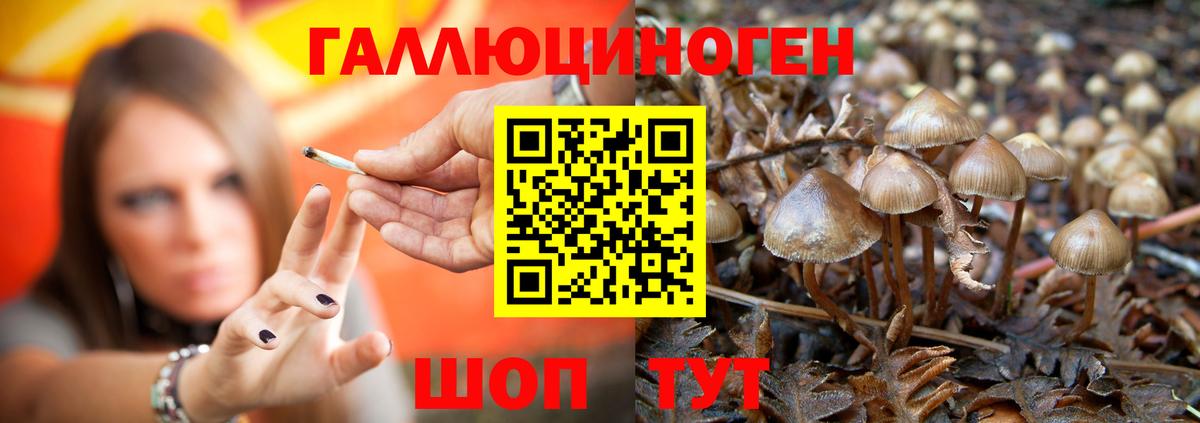 Мытищи  Псилоцибиновые грибы GOLDEN TEACHER  цена наркотик  Вход с VPN 